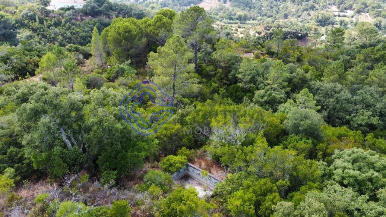 Terreno para Venda em Azeitão (São Lourenço e São Simão) Foto 2