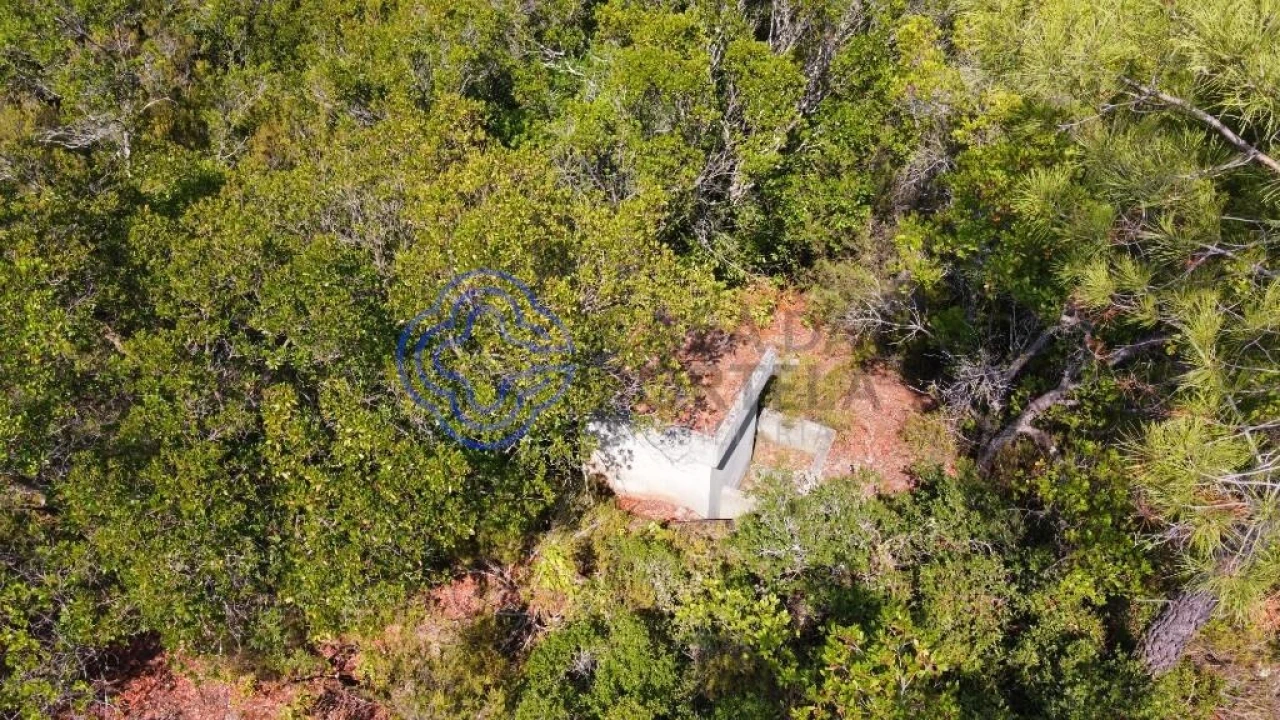Terreno para Venda em Azeitão (São Lourenço e São Simão) Foto 3