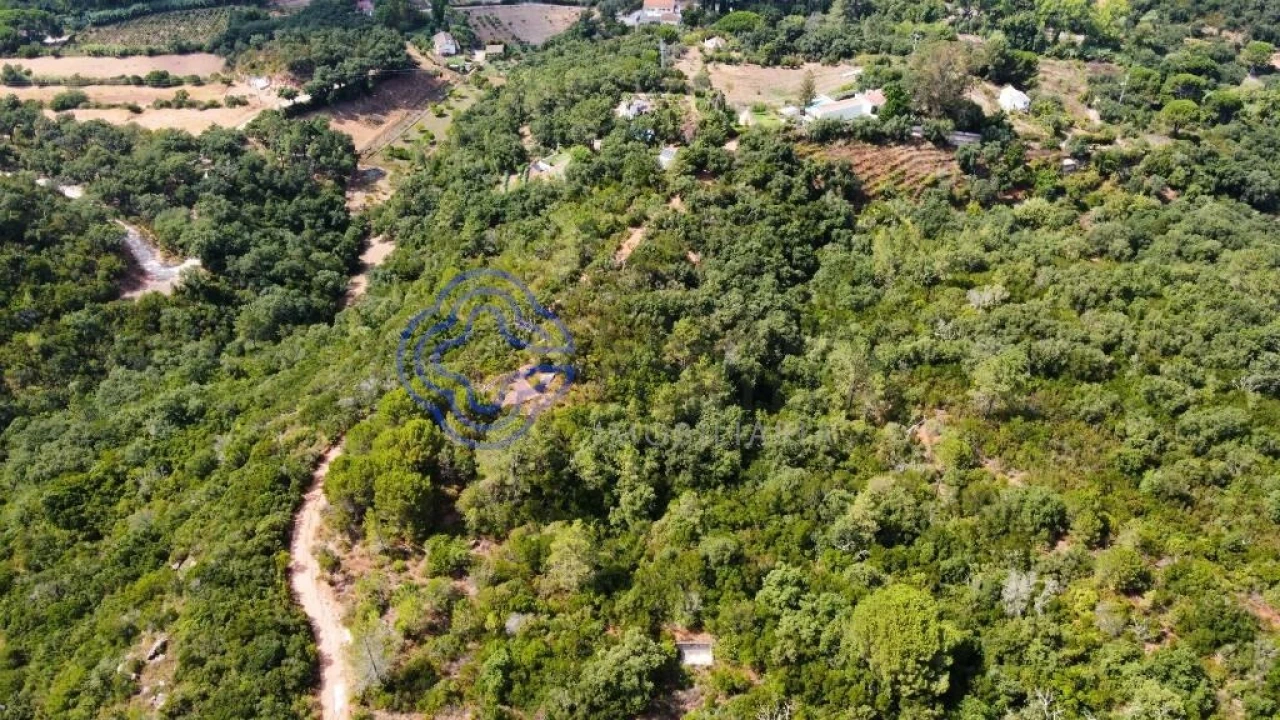 Terreno para Venda em Azeitão (São Lourenço e São Simão) Foto 1