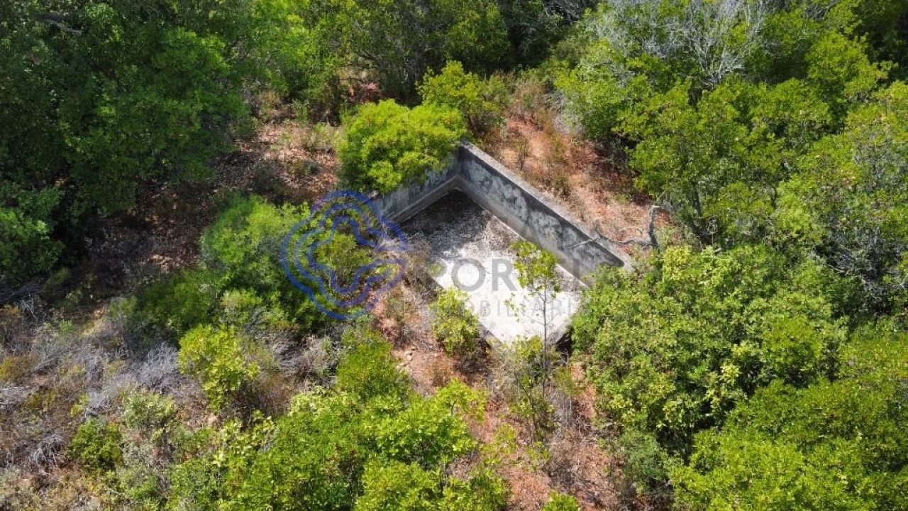 Terreno para Venda em Azeitão (São Lourenço e São Simão) Foto 5