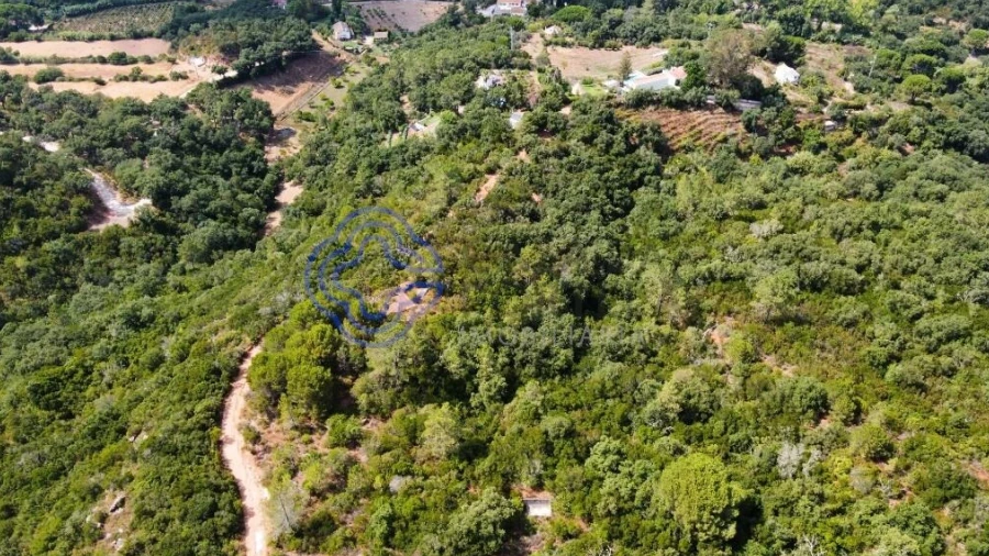 Terreno para Venda em Azeitão (São Lourenço e São Simão)