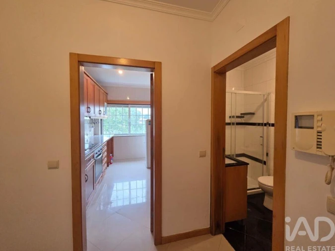 Apartamento T2 para Venda em Santa Comba Dão e Couto do Mosteiro Foto 5