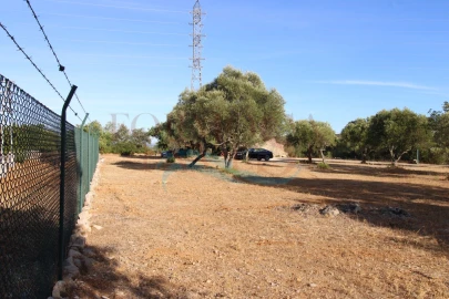Terreno Misto para Venda em São Brás de Alportel