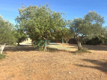 Terreno Misto para Venda em São Brás de Alportel