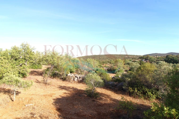 Terreno Misto para Venda em São Brás de Alportel Foto 22