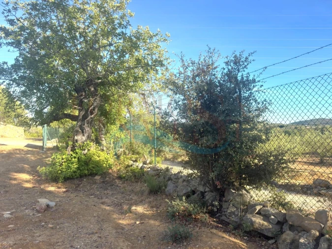 Terreno Misto para Venda em São Brás de Alportel Foto 26