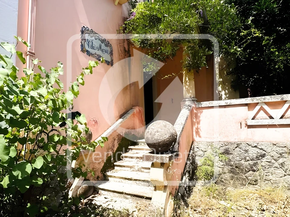 Quinta T20 para Venda em Tramagal Foto 29