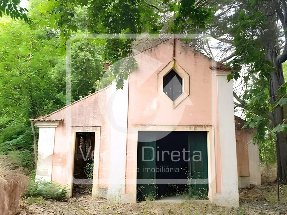 Quinta T20 para Venda em Tramagal Foto 31