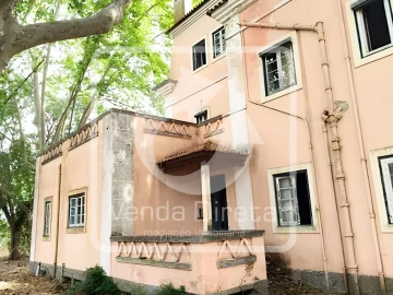 Quinta T20 para Venda em Tramagal