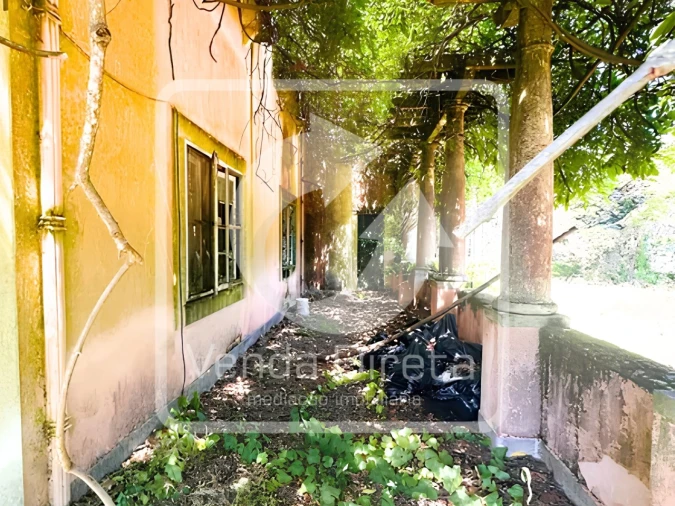 Quinta T20 para Venda em Tramagal Foto 35