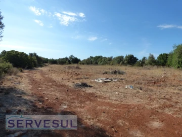 Terreno Agricola ou Rústico para Venda em Alcantarilha e Pêra