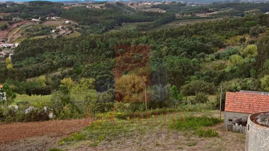 Terreno para Venda em Alvorninha
