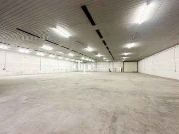 Armazém para Arrendamento em Silvares