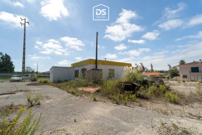 Terreno Agricola ou Rústico para Venda em Marinha Grande