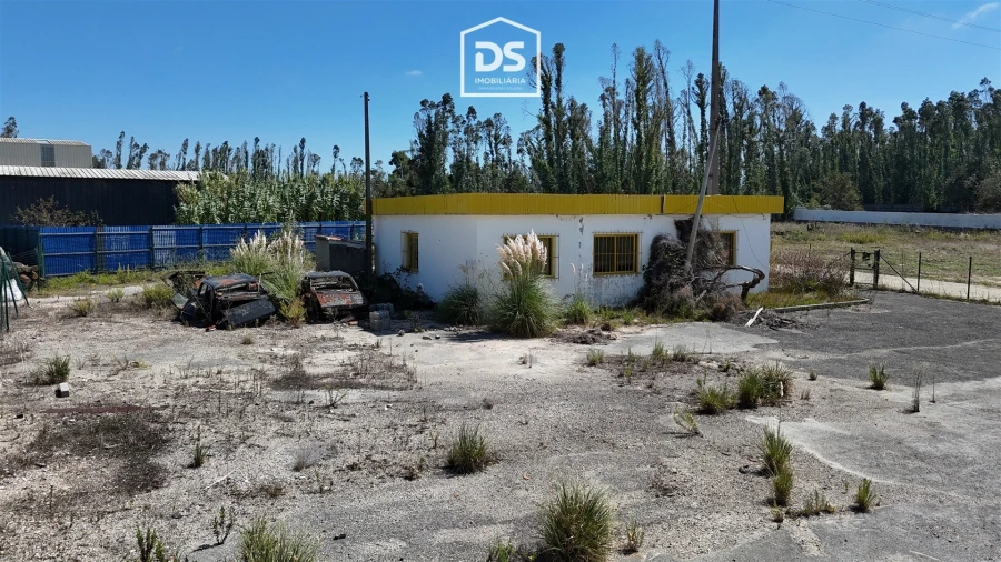 Terreno Agricola ou Rústico para Venda em Marinha Grande Foto 11