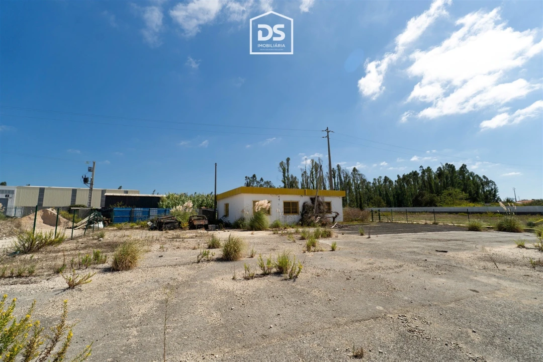 Terreno Agricola ou Rústico para Venda em Marinha Grande Foto 17