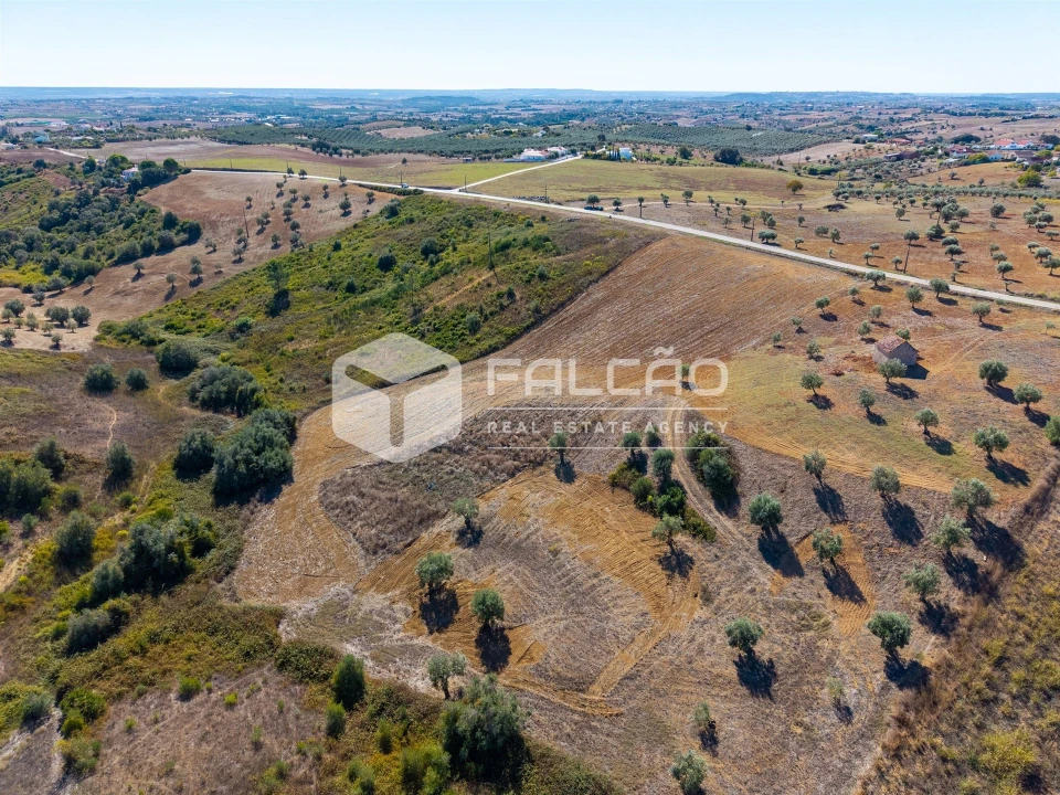 Terreno Agricola ou Rústico para Venda em Achete, Azoia de Baixo e Póvoa de Santarém Foto 10