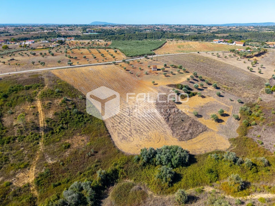 Terreno Agricola ou Rústico para Venda em Achete, Azoia de Baixo e Póvoa de Santarém Foto 16