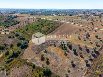 Terreno Agricola ou Rústico para Venda em Achete, Azoia de Baixo e Póvoa de Santarém