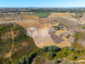 Terreno Agricola ou Rústico para Venda em Achete, Azoia de Baixo e Póvoa de Santarém