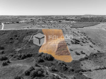 Terreno Agricola ou Rústico para Venda em Achete, Azoia de Baixo e Póvoa de Santarém