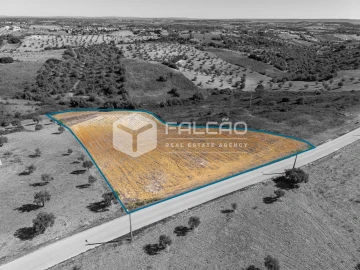 Terreno Agricola ou Rústico para Venda em Achete, Azoia de Baixo e Póvoa de Santarém