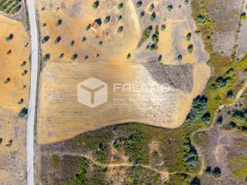 Terreno Agricola ou Rústico para Venda em Achete, Azoia de Baixo e Póvoa de Santarém