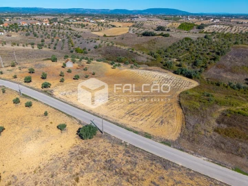 Terreno Agricola ou Rústico para Venda em Achete, Azoia de Baixo e Póvoa de Santarém