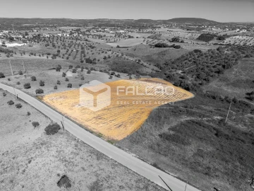 Terreno Agricola ou Rústico para Venda em Achete, Azoia de Baixo e Póvoa de Santarém