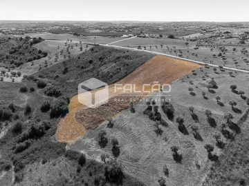 Terreno Agricola ou Rústico para Venda em Achete, Azoia de Baixo e Póvoa de Santarém