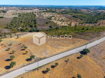 Terreno Agricola ou Rústico para Venda em Achete, Azoia de Baixo e Póvoa de Santarém