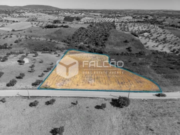 Terreno Agricola ou Rústico para Venda em Achete, Azoia de Baixo e Póvoa de Santarém