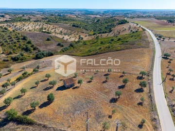 Terreno Agricola ou Rústico para Venda em Achete, Azoia de Baixo e Póvoa de Santarém