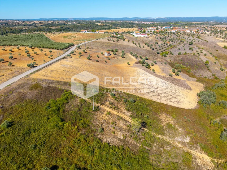 Terreno Agricola ou Rústico para Venda em Achete, Azoia de Baixo e Póvoa de Santarém Foto 18