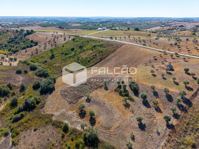Terreno Agricola ou Rústico para Venda em Achete, Azoia de Baixo e Póvoa de Santarém Foto 10