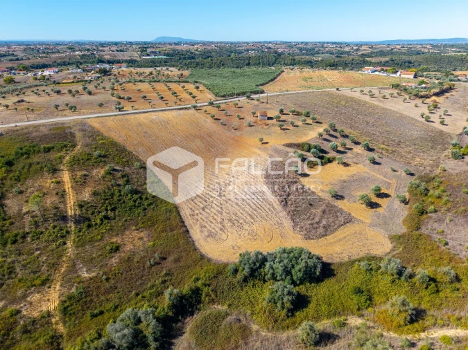 Terreno Agricola ou Rústico para Venda em Achete, Azoia de Baixo e Póvoa de Santarém Foto 16