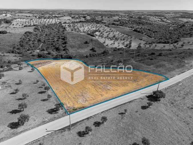 Terreno Agricola ou Rústico para Venda em Achete, Azoia de Baixo e Póvoa de Santarém Foto 6