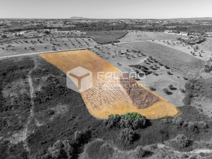 Terreno Agricola ou Rústico para Venda em Achete, Azoia de Baixo e Póvoa de Santarém Foto 17