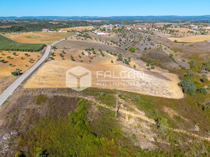 Terreno Agricola ou Rústico para Venda em Achete, Azoia de Baixo e Póvoa de Santarém Foto 20