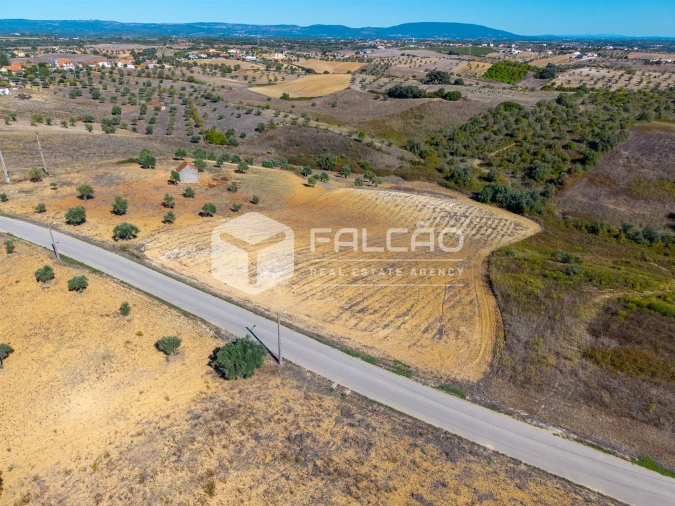Terreno Agricola ou Rústico para Venda em Achete, Azoia de Baixo e Póvoa de Santarém Foto 2