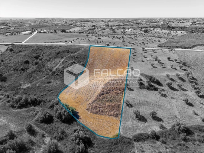 Terreno Agricola ou Rústico para Venda em Achete, Azoia de Baixo e Póvoa de Santarém Foto 13