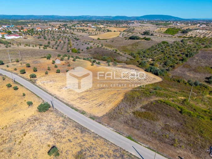 Terreno Agricola ou Rústico para Venda em Achete, Azoia de Baixo e Póvoa de Santarém Foto 22