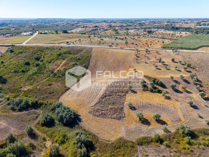 Terreno Agricola ou Rústico para Venda em Achete, Azoia de Baixo e Póvoa de Santarém Foto 12