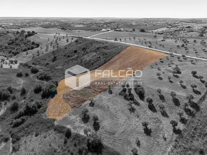 Terreno Agricola ou Rústico para Venda em Achete, Azoia de Baixo e Póvoa de Santarém Foto 11