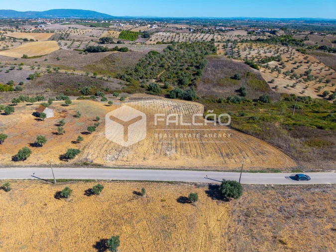 Terreno Agricola ou Rústico para Venda em Achete, Azoia de Baixo e Póvoa de Santarém Foto 3