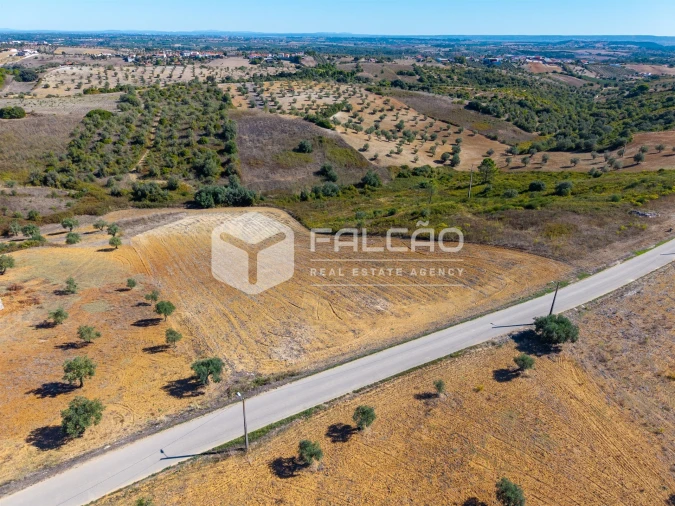 Terreno Agricola ou Rústico para Venda em Achete, Azoia de Baixo e Póvoa de Santarém Foto 5