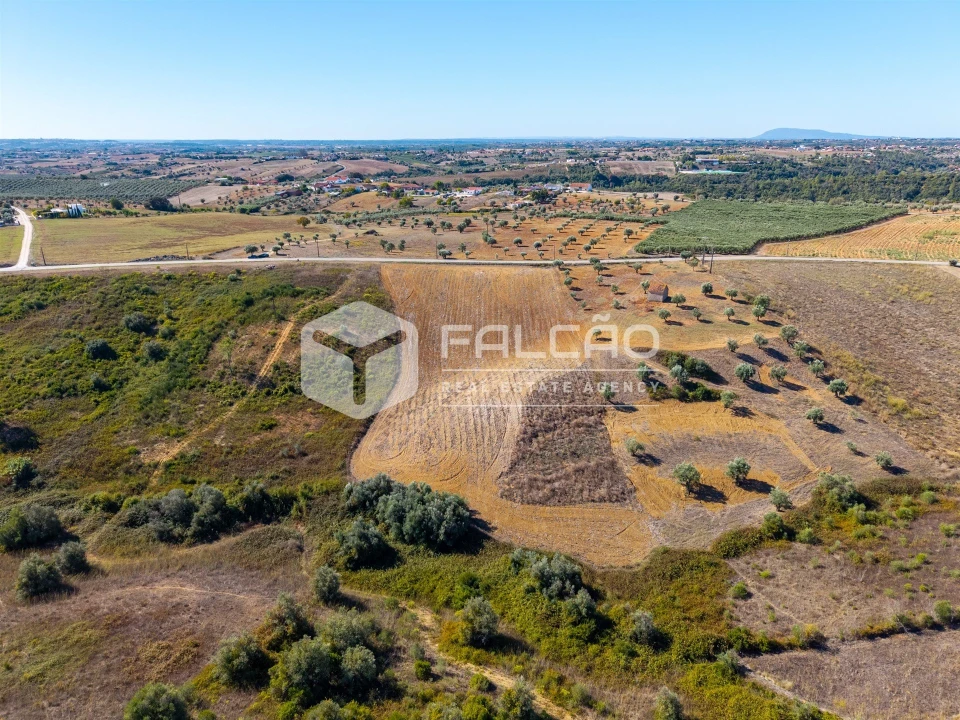 Terreno Agricola ou Rústico para Venda em Achete, Azoia de Baixo e Póvoa de Santarém Foto 14