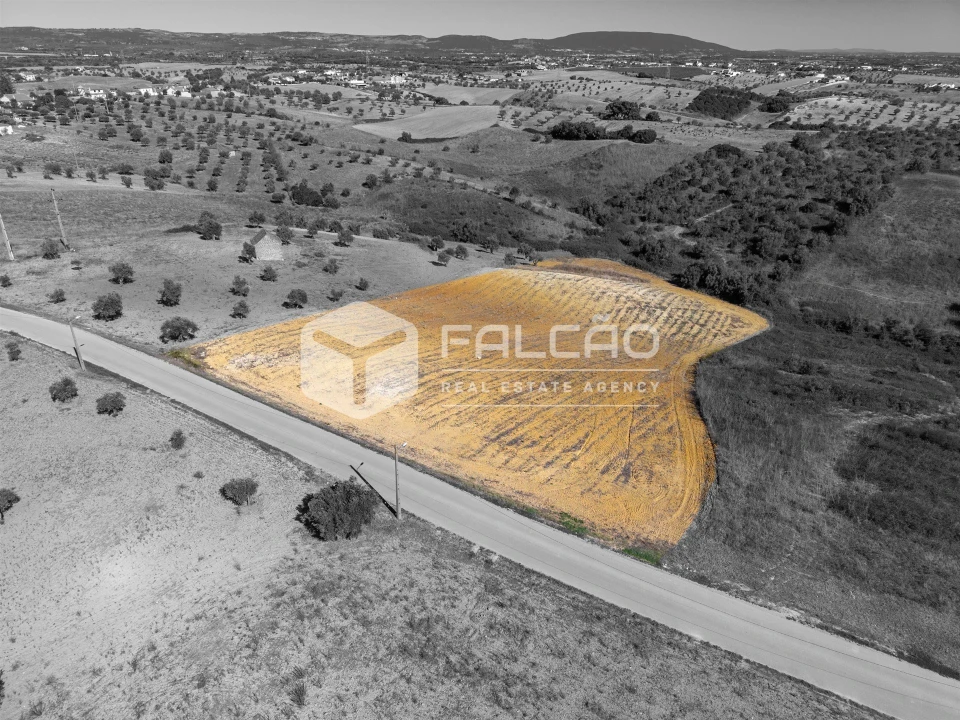 Terreno Agricola ou Rústico para Venda em Achete, Azoia de Baixo e Póvoa de Santarém Foto 1