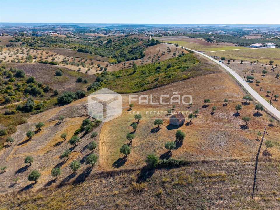 Terreno Agricola ou Rústico para Venda em Achete, Azoia de Baixo e Póvoa de Santarém Foto 9