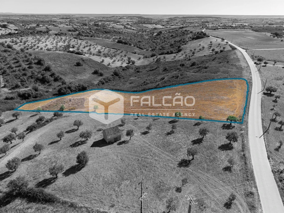 Terreno Agricola ou Rústico para Venda em Achete, Azoia de Baixo e Póvoa de Santarém Foto 8